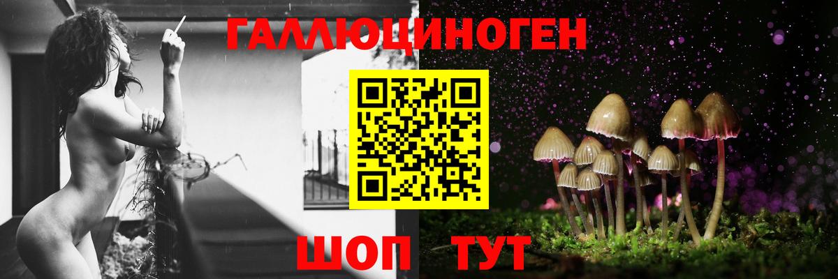 Псилоцибиновые грибы мицелий  Вход с VPN  Мегион  Галлюциногенные грибы Psilocybe 